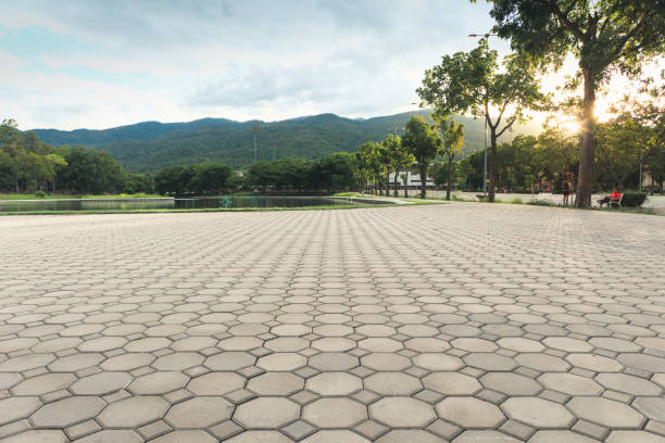 Best Driveway Paving Contractor  in Richnd, MO